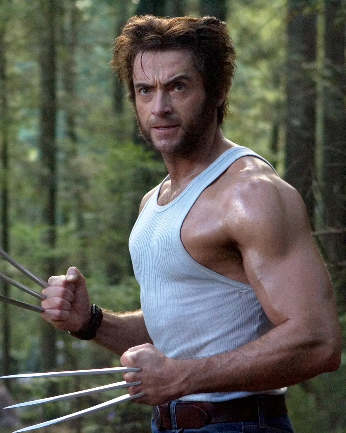 Wolverine