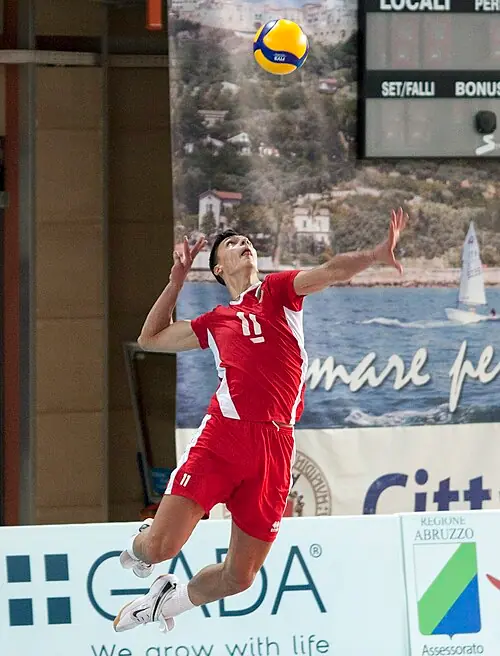 Aleksandar Nikolov (voleibolista)