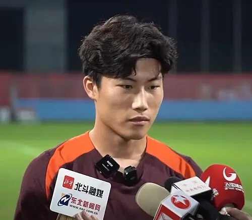 Xie Wenneng