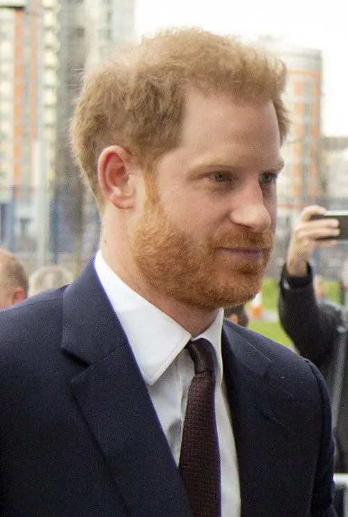 Harry van Wales