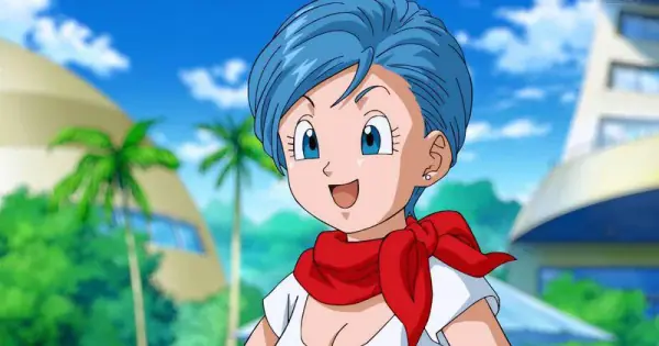Bulma — Técnico
