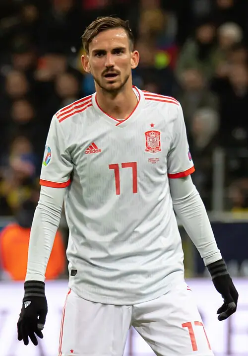 Fabián Ruiz Peña