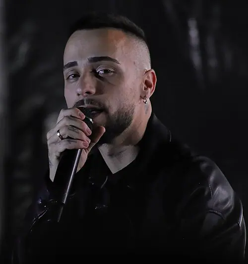 Diogo Piçarra