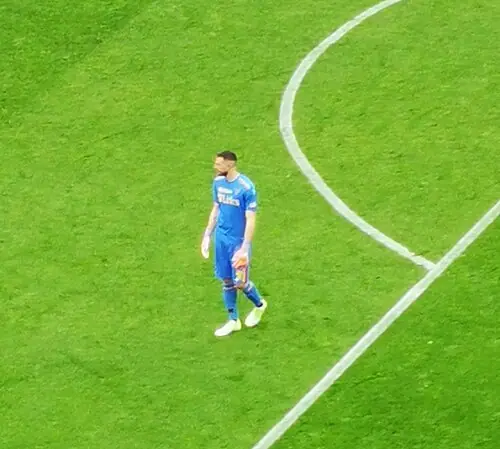 Wladimiro Falcone