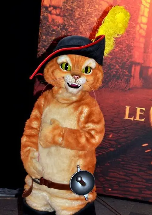 Gatto con gli stivali