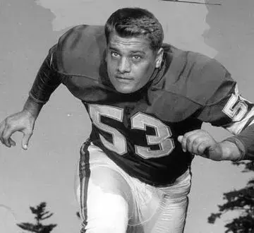 Mick Tingelhoff