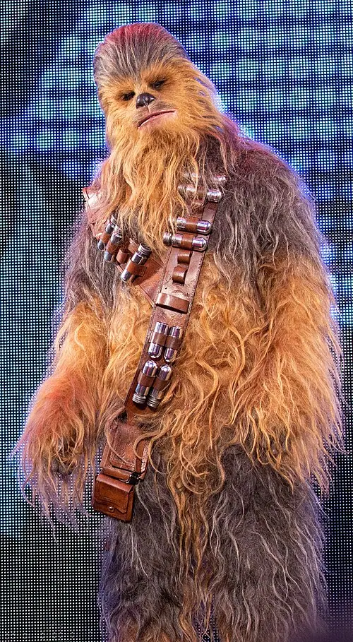 Chewbacca