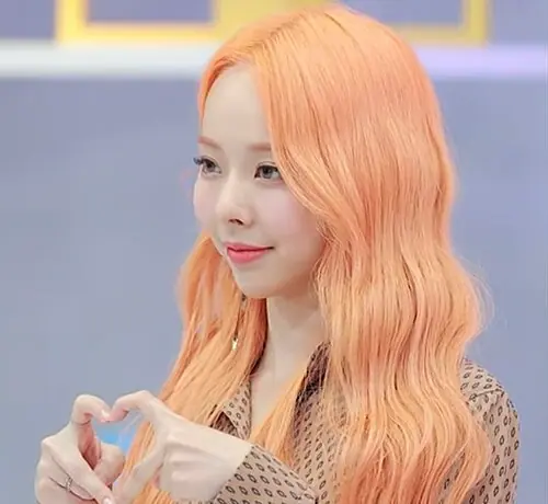 ViVi